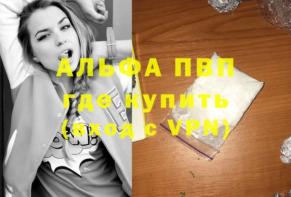 шишки Баксан