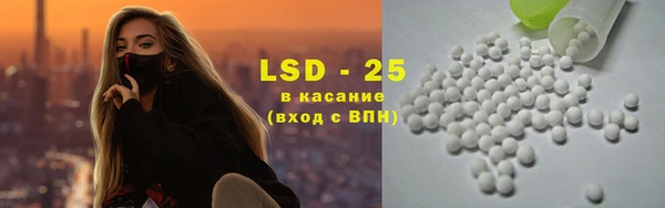 шишки Баксан