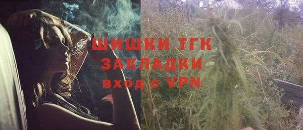 шишки Баксан